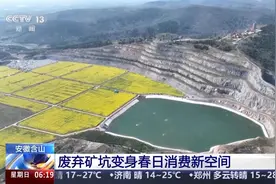 废弃矿坑变身金色花海 三地“花样”撬动消费新活力图片