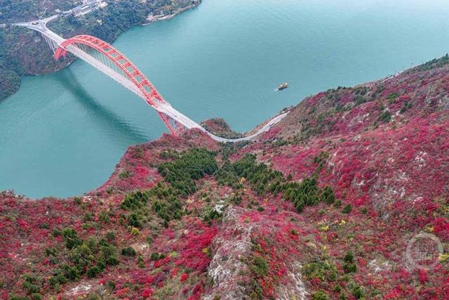 大地“披浓妆” 巫峡红叶进入最佳观赏期