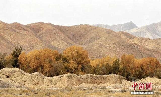 千年轮台的历史回响