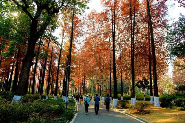 京广高铁畔的青山公园，宛若一幅浓墨重彩油画