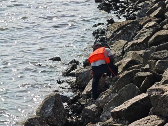 先锋在行动｜守护“一湾碧水” 让市民游玩体验更清新、更“出片”