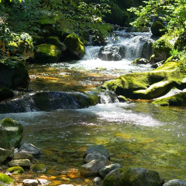 上头了！21℃的瓦屋山后劲真大！