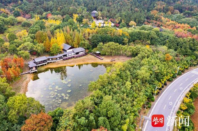 山水有度，城市有光 在苏州市高新区，把假日过成理想生活
