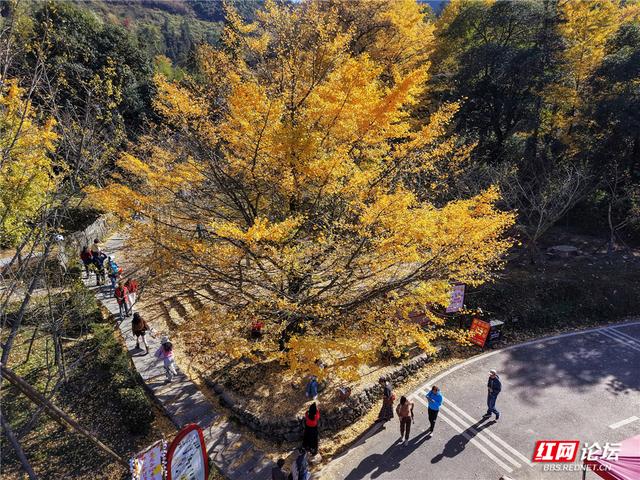 【每日一图@湖南】在永州桐子坳，我找到了最动人的浪漫