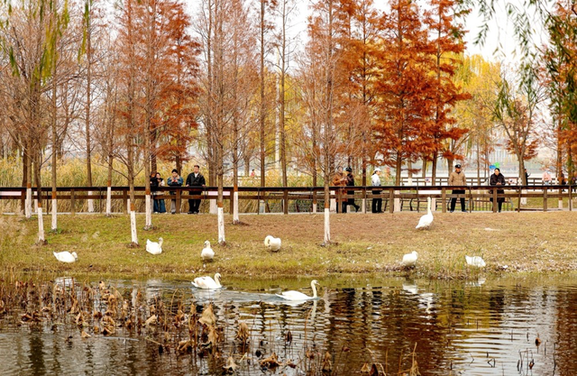 全部免费！郑州适合一家人一起去的公园推荐！