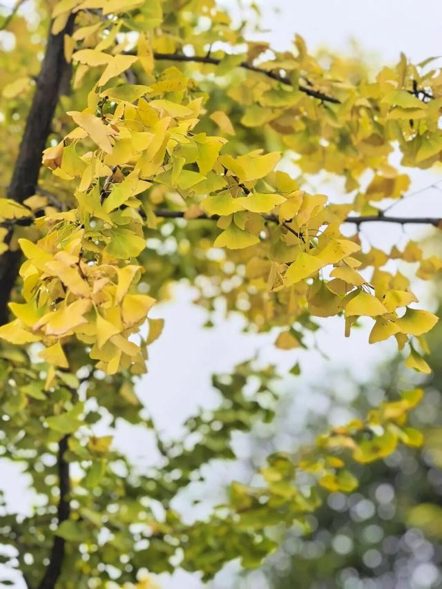 别眨眼，接下来的新干是这样的→