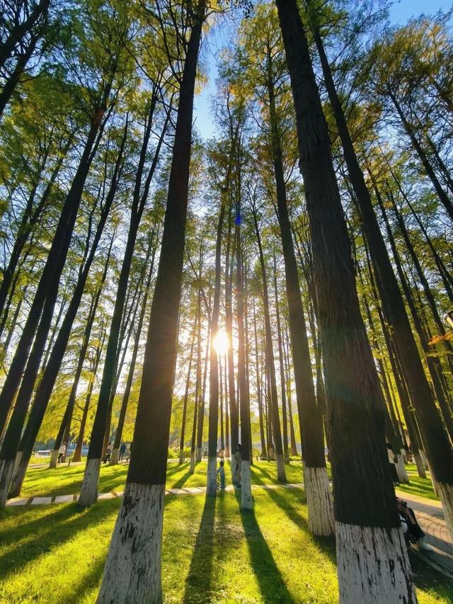 大武汉一日 | 有范儿！这个文化市集不一般