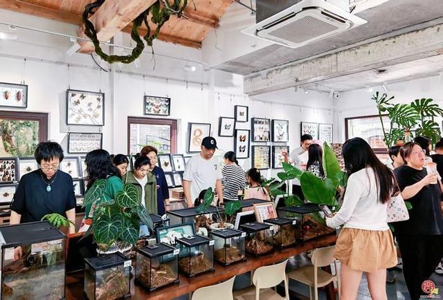 一年四季泉在济南|“双节”假期上新街持续“上新”赴约城市美学盛宴