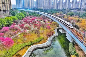 合肥匡河公园：姹紫嫣红好春光图片