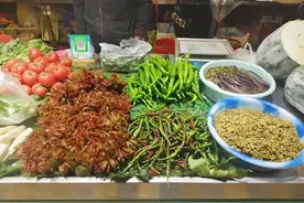 好鲜！曲靖正大量上市，你最爱哪一味？图片