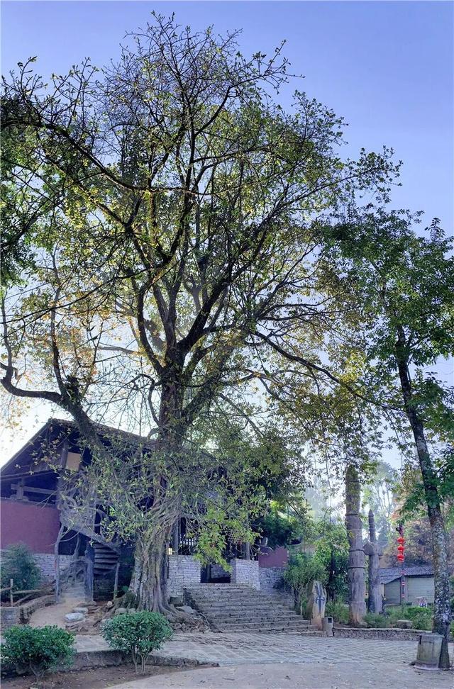 来保山，让冬日住进22℃的温柔里！