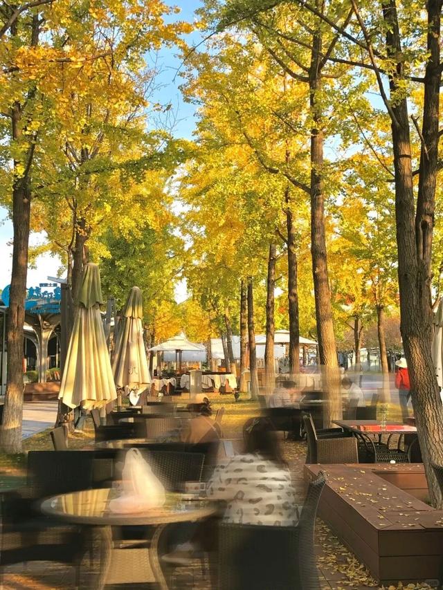 南京开始“下雪”了！