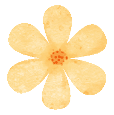 秦淮花事｜乌桕斑斓，半城秋色入画来