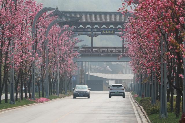 腾冲建设充满绿色、智慧与温情的现代化人民城市