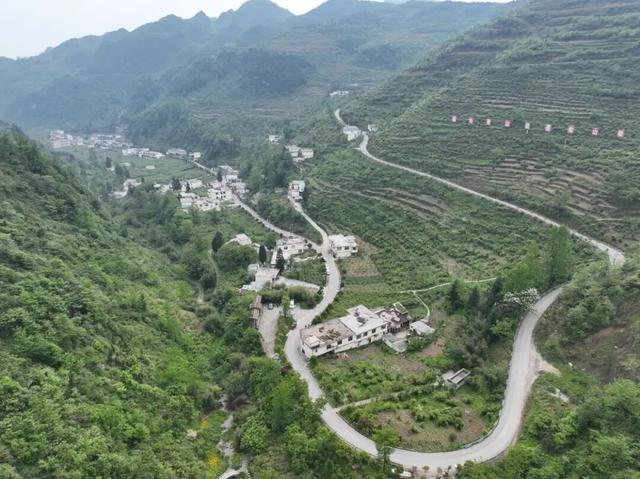 消失的它，又回昭通了