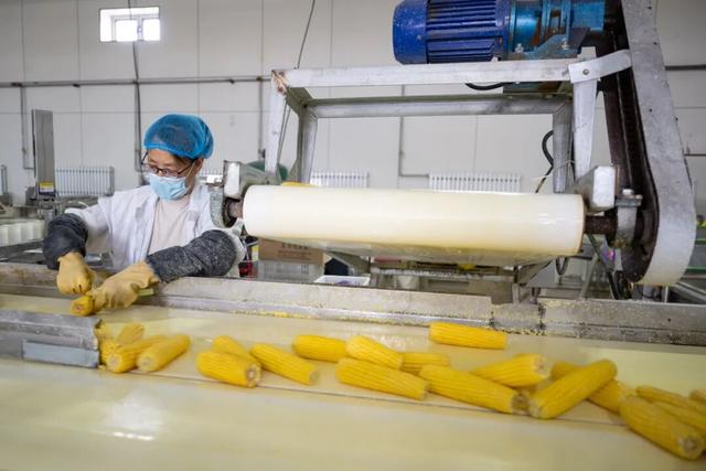 既要“跑得远”，又要“吃着鲜”，农产品咋做到的？