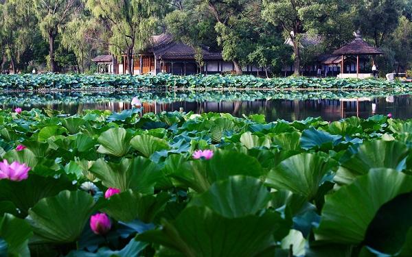 盛景揽天下，承德诚邀江南客共游避暑山庄