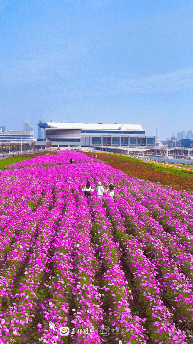 日照，“毛茸茸”！