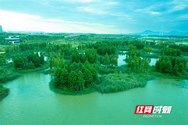 湖库觉醒⑥丨望城四湖：一汪碧水唤醒千年诗意与新生