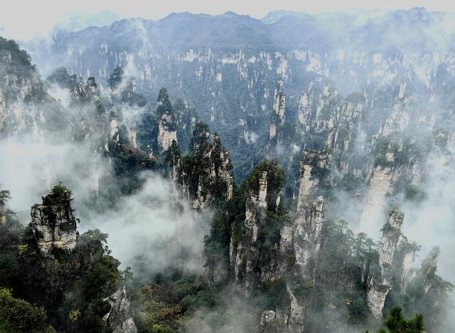 水墨画卷天子山