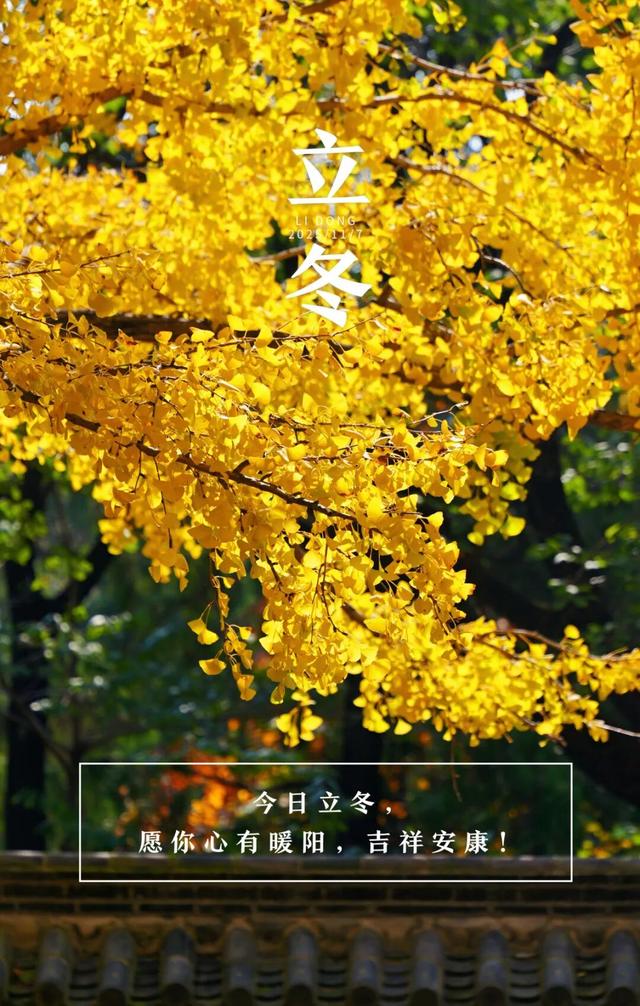 日照，正式进入……