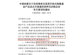中国结算释放利好，信用债ETF可质押式回购，9只基金符合规模门槛，已有公募着手申请图片
