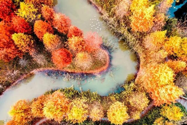 @0731，一组绿心秋色卡，请查收！