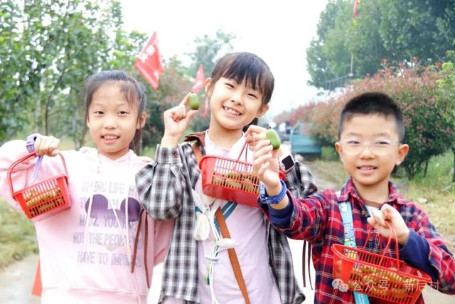 一口爆汁、香甜可口！就在后村，整个假期都可以来摘！