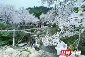 蓝山农商银行：普惠金融活水润泽“小城旅游文化”图片