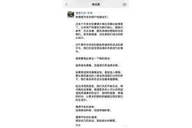 李想发文回应MEGA被黑 众多业内大佬声援 网友：自食其果图片