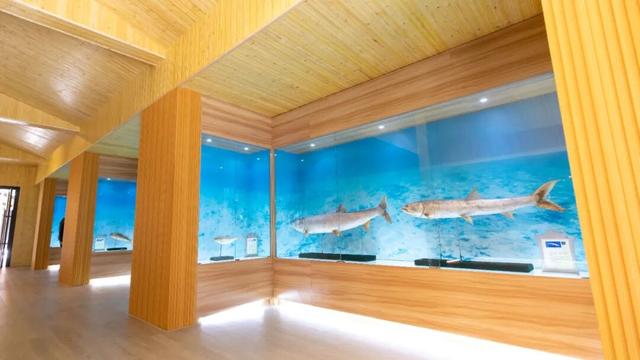 崇明这条生态研学路线，走起！