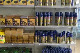 中山产灭蚊“神器”畅销海外，成西非地区“爆品”图片