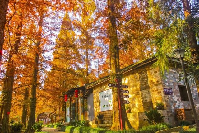 中国国家地理推介！宣城这里，将迎最美时刻！