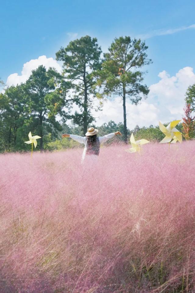 跟着这条线路，周末赏秋去！