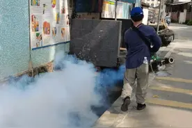 全城总动员！博罗筑牢基孔肯雅热群防群控严密防线图片