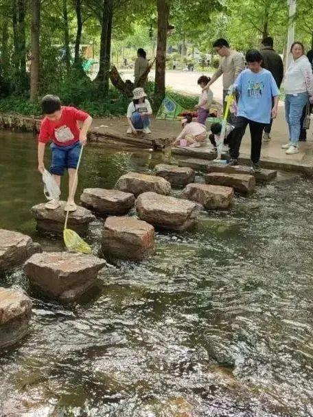 建议，所有懒人都来趟洛阳...