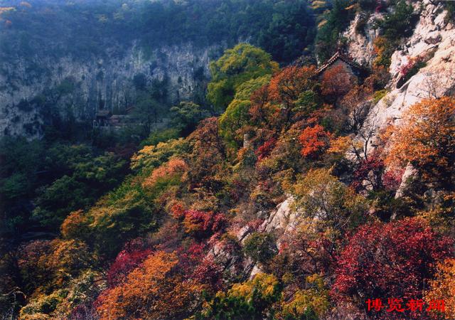 趣味无穷！秋日淄博博山赏红叶，这些打卡地玩法多样超好玩！