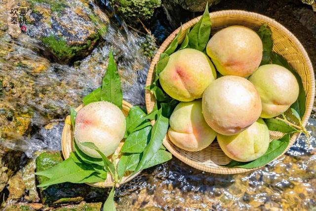 人这一辈子，一定要去一趟奉化！