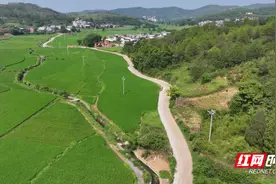 桂阳：持续推进农村公路提升行动 让“烦心路”变“舒心路”图片