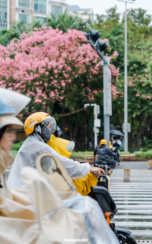 “接下来深圳这个地方，是粉色的”