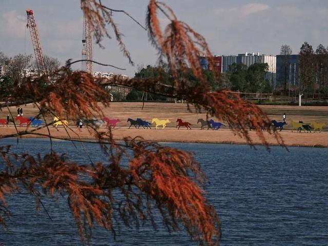 别宅啦！闵行的冬日浪漫，从艺术馆到公园都给你安排好了→