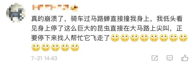 “被滋了一脸，还舔了舔……”近期很多人中招已崩溃！不是雨！不是空调水！专家提醒