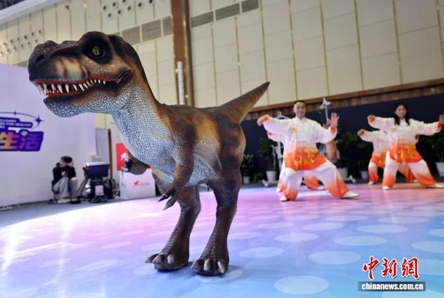 175款智慧康养机器人亮相成都