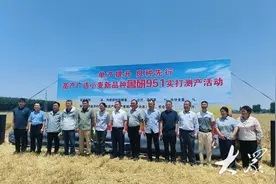 三农深度调查|麦收实打，山东多个小麦新品种未来可期图片