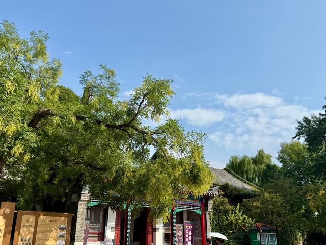 新视界｜济南大明湖：杨柳依依里，湖光山色新