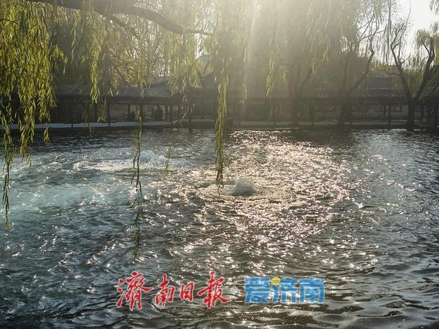 泉水欢腾醉游人