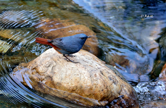 在东濠涌，赴一场与流水和清风的约会