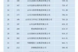 山东68家企业入选2024中国制造业企业500强，全国第二图片