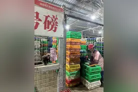 清镇市站街镇高乐村5万羽肉鸡出栏图片