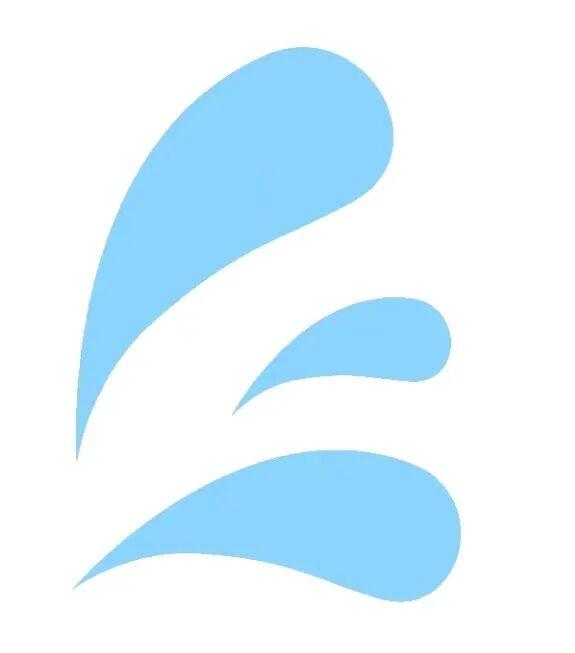 治愈天花板！来蓬莱赴一场冬日“鸥遇”